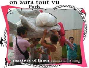 linstallation palais royal le staff