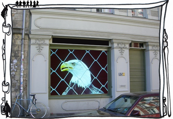 Bertrand Gadenne Eagle