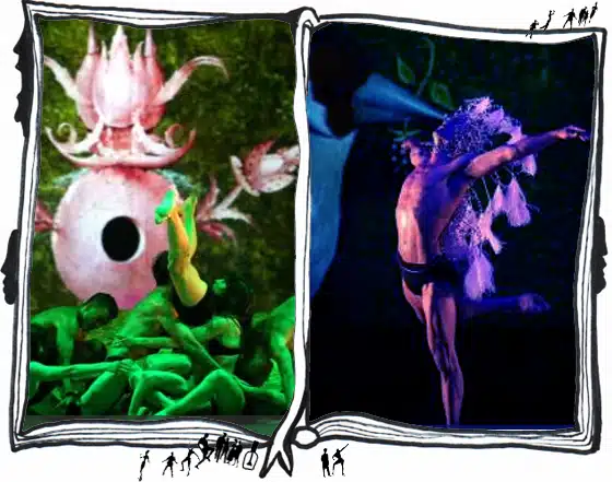 delices garden of blanka li