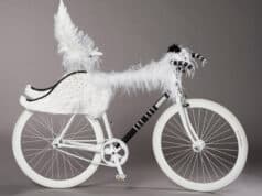 Be Cycle and Fashion 2010 : on aura tout vu en faveur du développement durable Be Cycle and Fashion by on aura tout vu